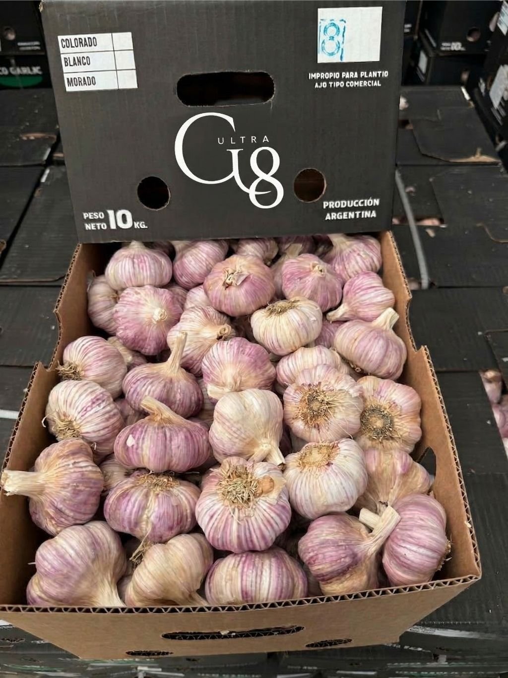 Design sem nome (31)