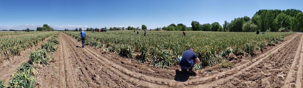 WhatsApp Image 2026-03-02 at 14.28.09 (2)