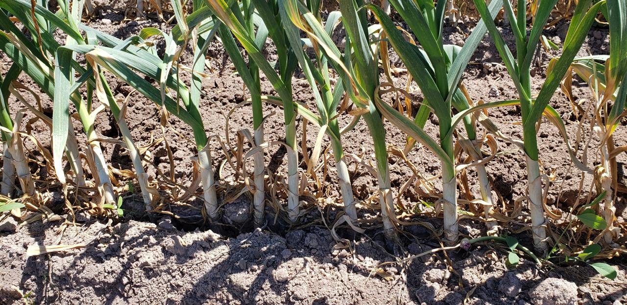 WhatsApp Image 2026-03-02 at 14.28.09