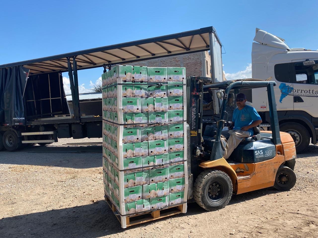 WhatsApp Image 2026-03-02 at 14.33.16 (5)