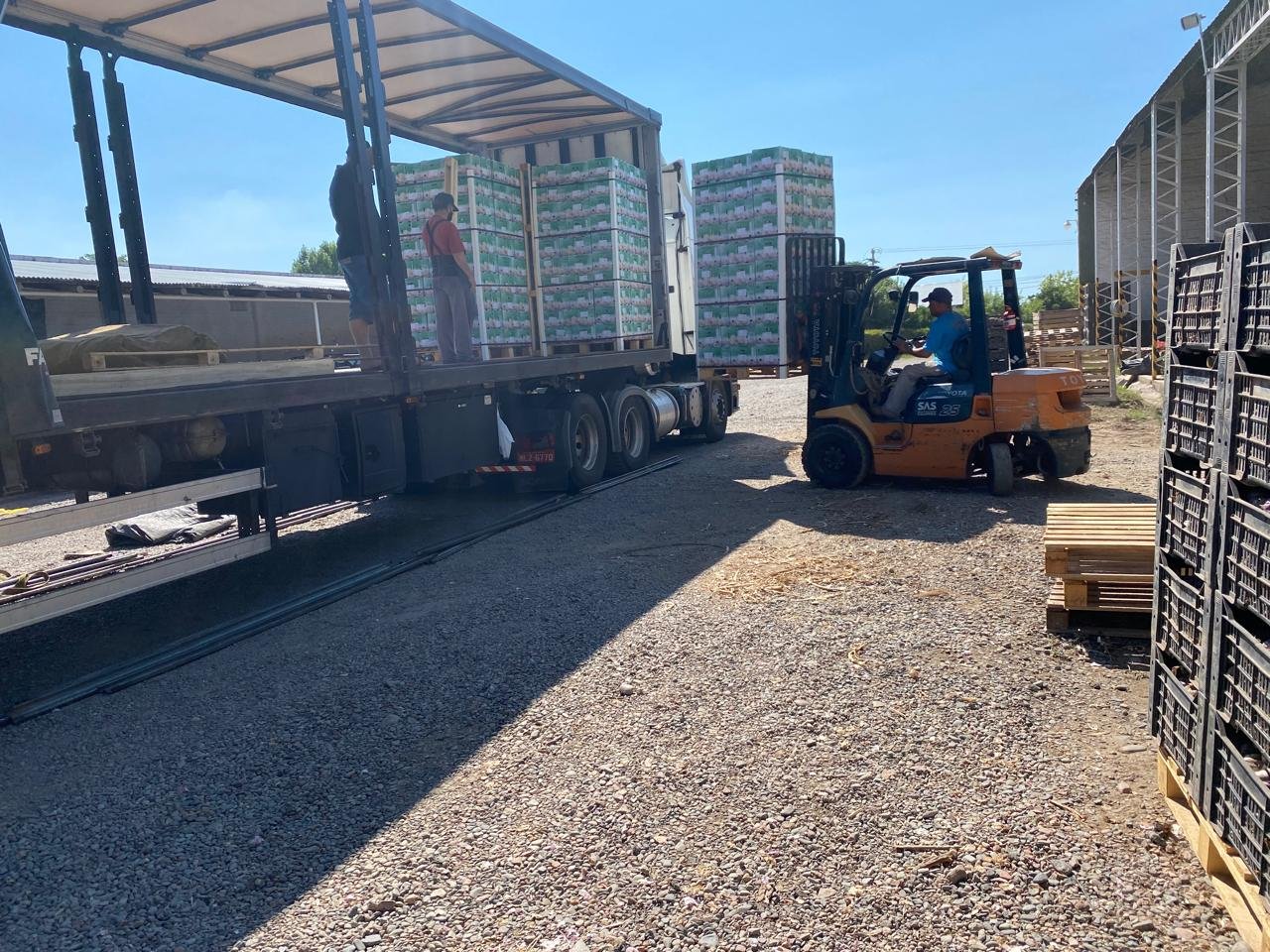 WhatsApp Image 2026-03-02 at 14.33.16 (6)