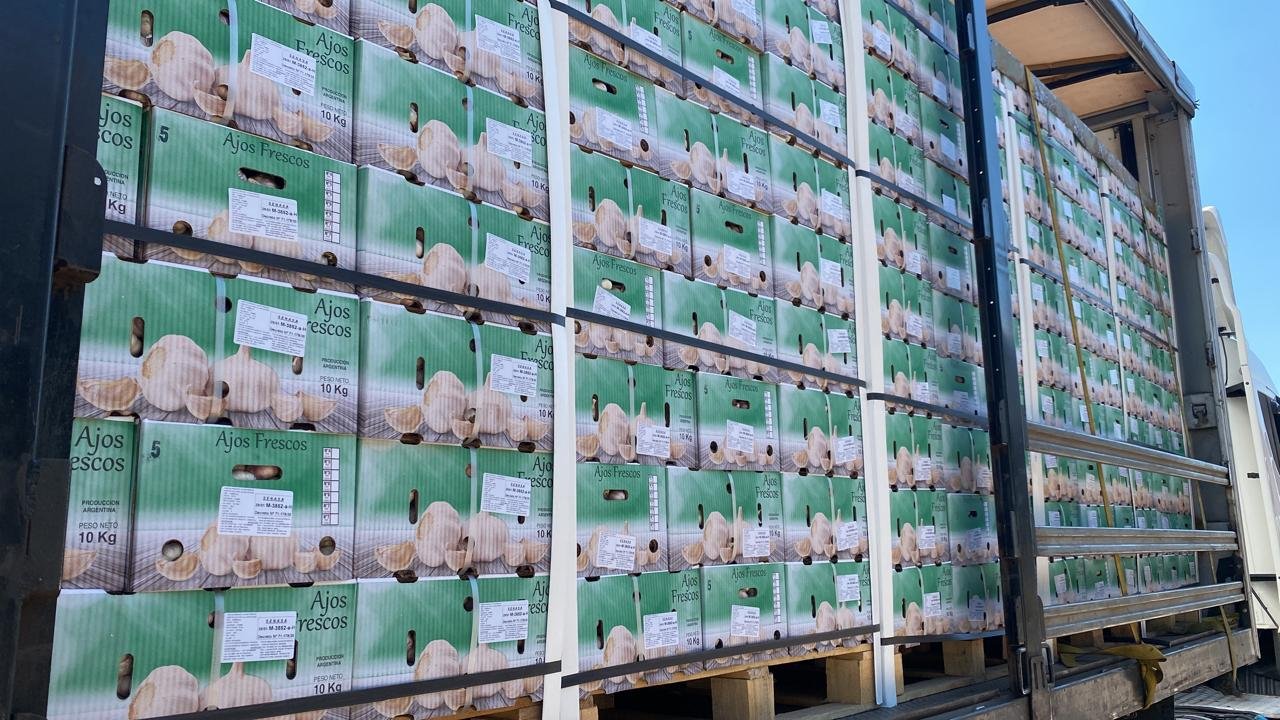 WhatsApp Image 2026-03-02 at 14.33.16 (7)